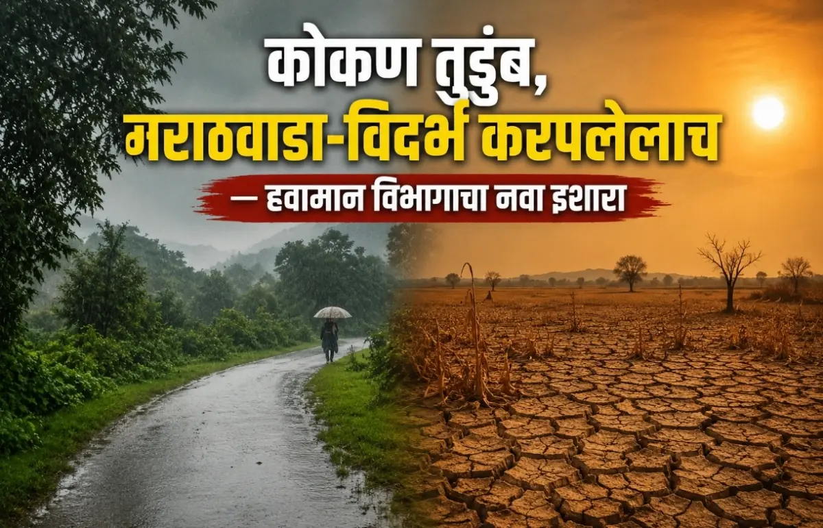 कोकणात मुसळधार, तर मराठवाडा-विदर्भ कोरडाच! राज्यात यंदाच्या पावसाचे असमान वाटप, हवामान विभागाचा इशारा