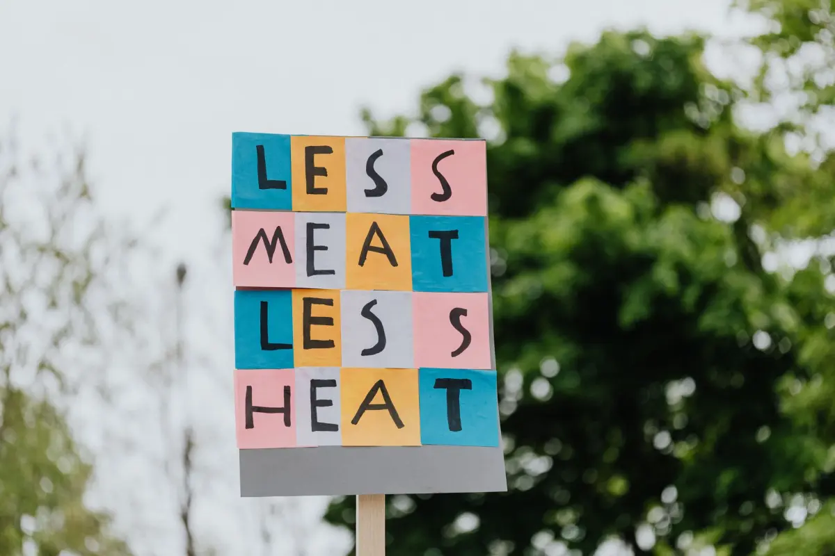 Heat Wave Havoc: German Politics Feel the Burn