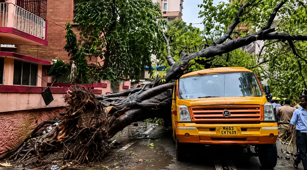 Heartbreaking Loss: 11-Year-Old Cricket Lover Dies in Chembur Tree Collapse